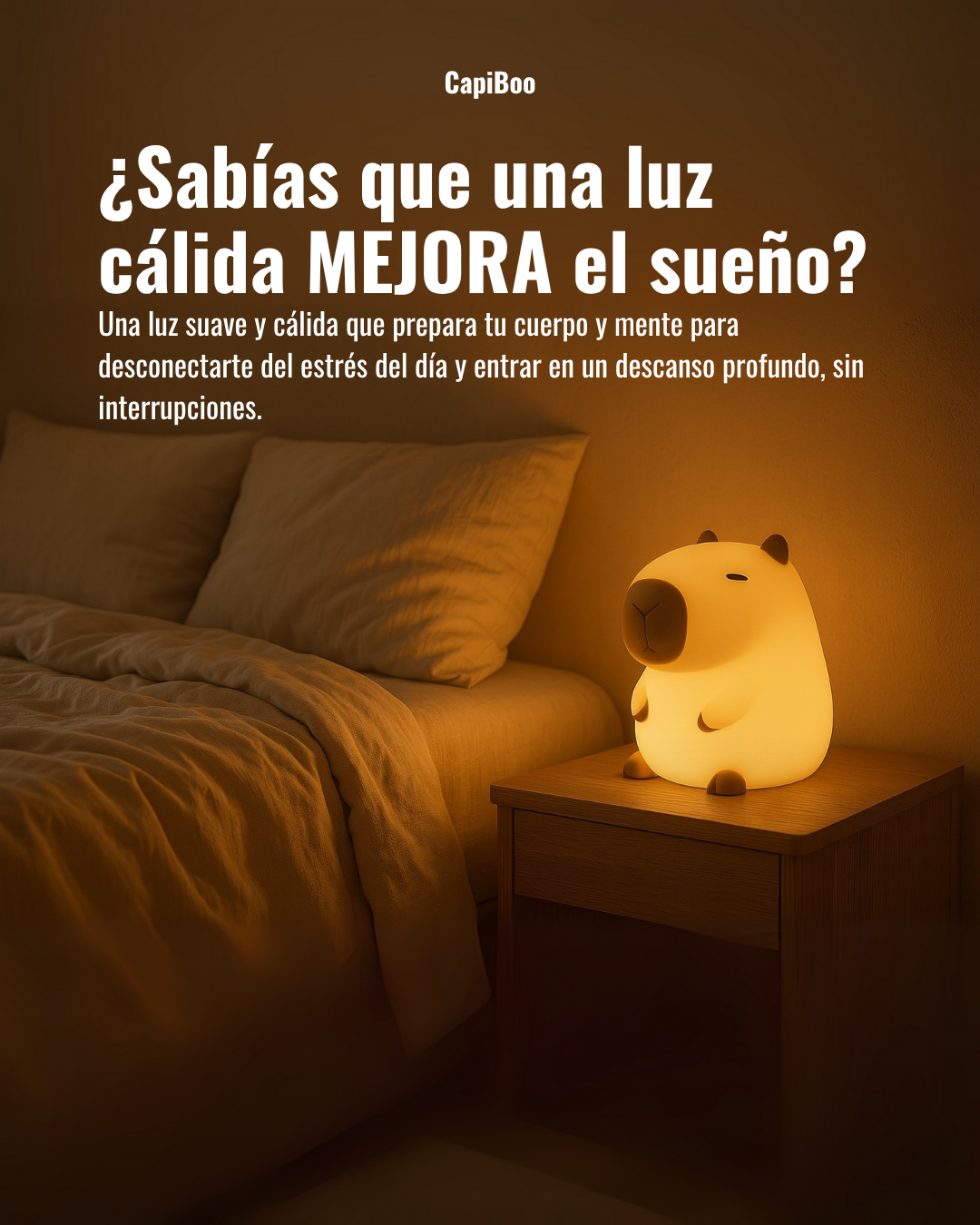 CapiBoo